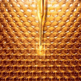 Abeille Royale Mattifying Day Cream - Crema pentru fermitate si lifting