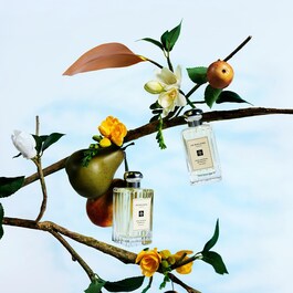 English Pear & Fressia - Cologne
