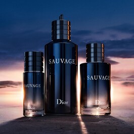 Sauvage - Eau de Toilette for Men - Note condimentate & lemn ambra