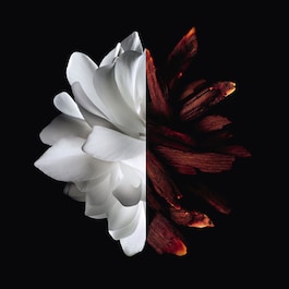 L'Interdit - Eau de Parfum Rouge
