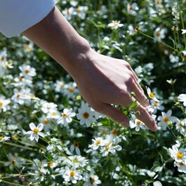 Replica Springtime in a Park - Lumanare parfumata