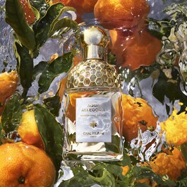 Set cadou Aqua Allegoria Mandarine Basilic - Eau de Toilette