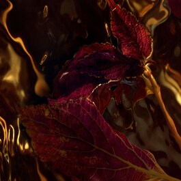 Absolus Allegoria Patchouli Ardent - Eau de Parfum
