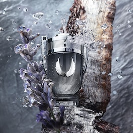 Invictus Plantinum - Eau de Parfum