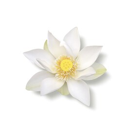 The Ritual of Karma - Rezerva crema pentru corp