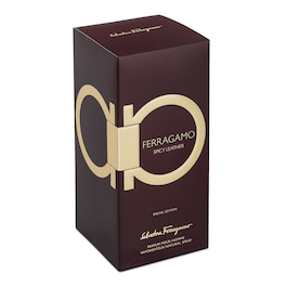 Spicy Leather - Parfum