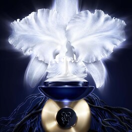 Orchidée Impériale The Cream - Crema anti-imbatranire