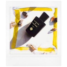 Signatures of the Sun Ambra - Apă de Parfum Woody Aromatic