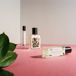 Vanilla Woods - Eau de Parfum