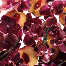 Flowerbomb Ruby Orchid - Eau de Parfum travel size