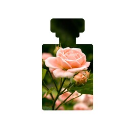 Baptiste H2O Ultra-Hydrating Water Gel - Gel hidratant pentru fata
