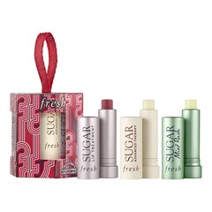 Tint & Treat Lip Care Set - Set de ingrijire a pielii pentru colorare si tratare, FRESH