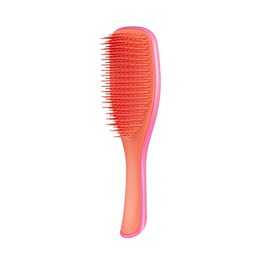 The Wet Detangler Lollipop - Perie de par