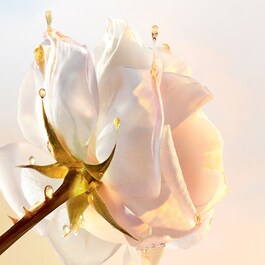 Dior Prestige Le Baume Démaquillant - Balsam demachiant pentru ten