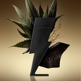 Bad Boy - Le Parfum Eau de Parfum