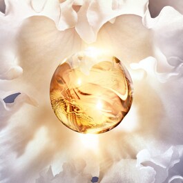 Orchidée Impériale The Rich Cream - Refill