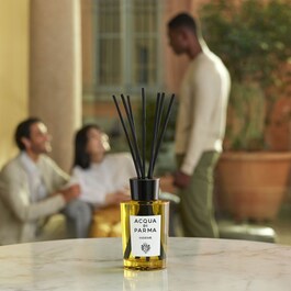Insieme - Diffuser