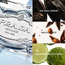Les Infusions de Prada Amande - Eau de Parfum