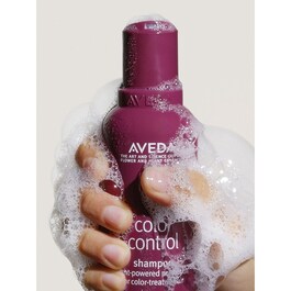 color control shampoo - Sampon
