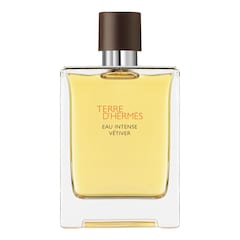 Terre d'Hermès Eau Intense Vétiver - Eau de parfum, Hermes