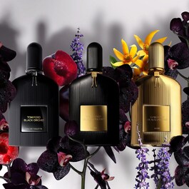 Black Orchid - Eau de parfum