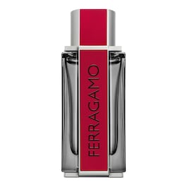 Red Leather - Eau de Parfum image