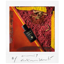 Signatures of the Sun Oud & Spice - Apă de parfum Woody Spicy