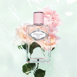 Les Infusions de Prada Rose - Eau de Parfum
