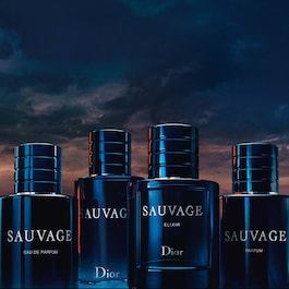 Sauvage - Deodorant stick