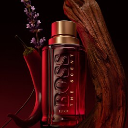 BOSS The Scent for Him - Elixir Parfum Intense