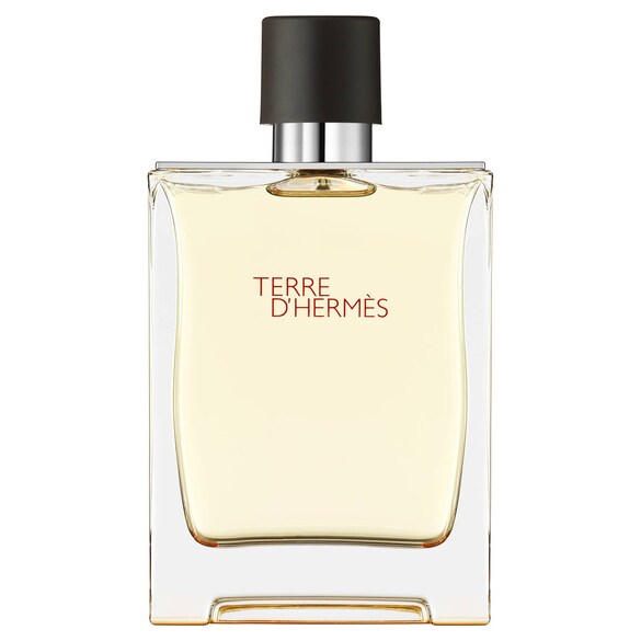 Terre d'Hermès - Eau de Toilette, Hermes