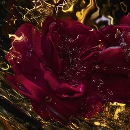 Absolus Allegoria Rose Amira - Eau de Parfum