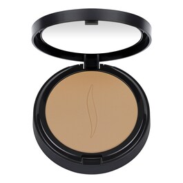 Matte Perfection Powder Foundation - Fond de ten compact
