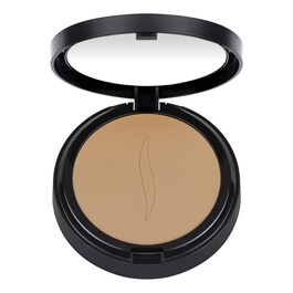 Matte Perfection Powder Foundation - Fond de ten compact image