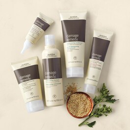 Damage Remedy Intensive Restructuring Treatment