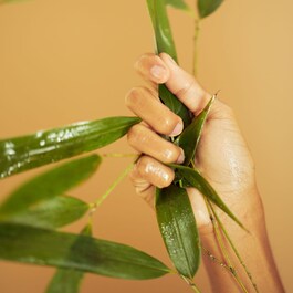 Bamboo Crème Frappée - Crema hidratanta de fata