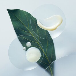 Botanical Repair™ Strengthening Shampoo - Shampoo