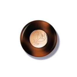 Teint Idôle Ultra Wear C.E. Skin Transforming Highlighter - Iluminator pudra