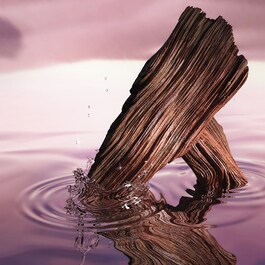 Desert Eden - Eau de Parfum