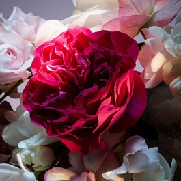 La Nuit Trésor Fleur de Nuit - Eau de Parfum Florale