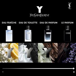 Y - Eau de Toilette