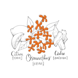 Love Osmanthus - Eau de Parfum
