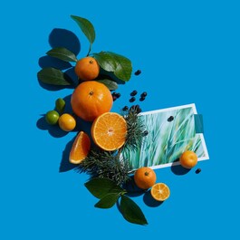 Clémentine California - Eau de Parfum