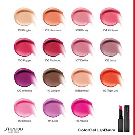 ColorGel LipBalm - Ruj de buze