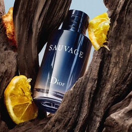 Sauvage - Eau de Toilette for Men - Note condimentate & lemn ambra