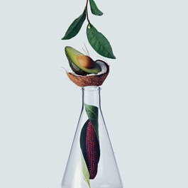 botanical repair™ - Sampon