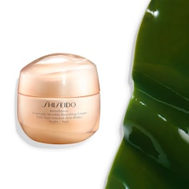 Overnight Wrinkle Resisting - Night Face Cream