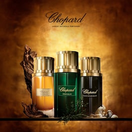 Malaki Cedar - Eau de Parfum