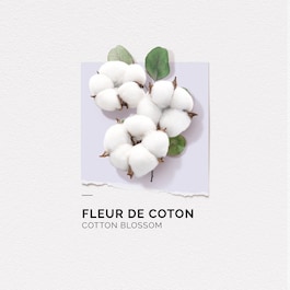 Fleur de Coton - Eau de Parfum