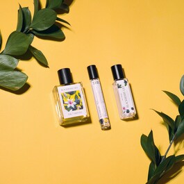 Blackberry Lily Oil - Roller